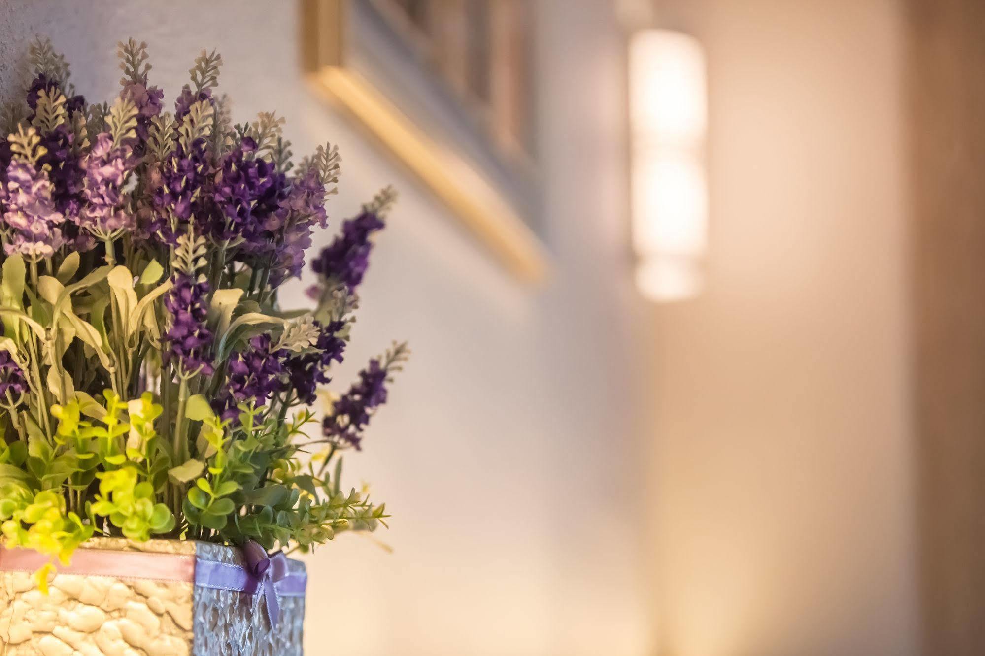 Lavender Inn Nusa Bestari Johor Bahru Esterno foto